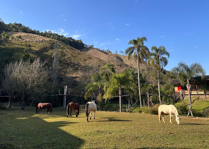 Pousada da Hortensias em Santa Catarina