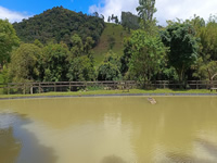Lagoa e Pesca