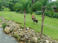 Passeio de Cavalo