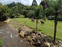 Passeio de Cavalo