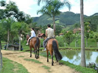 Passeio de Cavalo