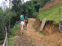 Passeio de Cavalo