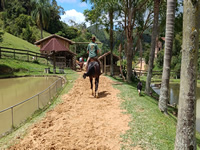 Passeio de Cavalo
