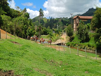 Passeio de Cavalo