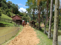 Passeio de Cavalo