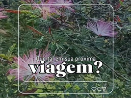 Sua Próxima Viagem